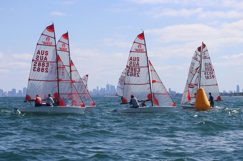 2023 Tasar Victorian State Titles - photo © Blaise Vinot