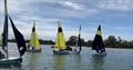Team Racing at Waldringfield © Neil Collingridge