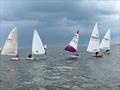 Joe Barton's Topper during the 232nd Whitstable Town Regatta &copy; Steve Gray