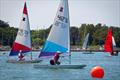 Dinghy Week 2026 at Chichester YC &copy; Mark Green / CYC