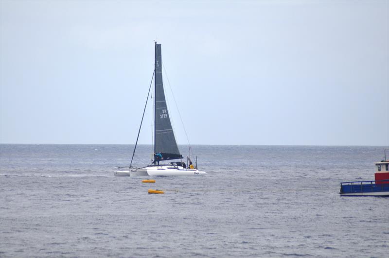 Banjo arrives at the St Helena moorings - job well done photo copyright Vince Thompson taken at St Helena Yacht Club and featuring the Trimaran class