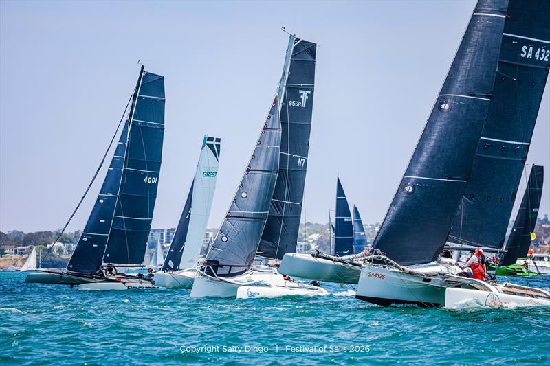 Australian Multihull Championship in full swing - Festival of Sails photo copyright Salty Dingo taken at Royal Geelong Yacht Club and featuring the Trimaran class