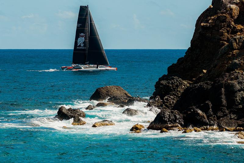 Sophia - 8th Caribbean Multihull Challenge Race and Rally day 1 - photo © Andre Dede Knol