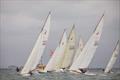 Race one start line - 2025 Tumlaren Victorian State Titles day 1 © Mark Chew of SWS