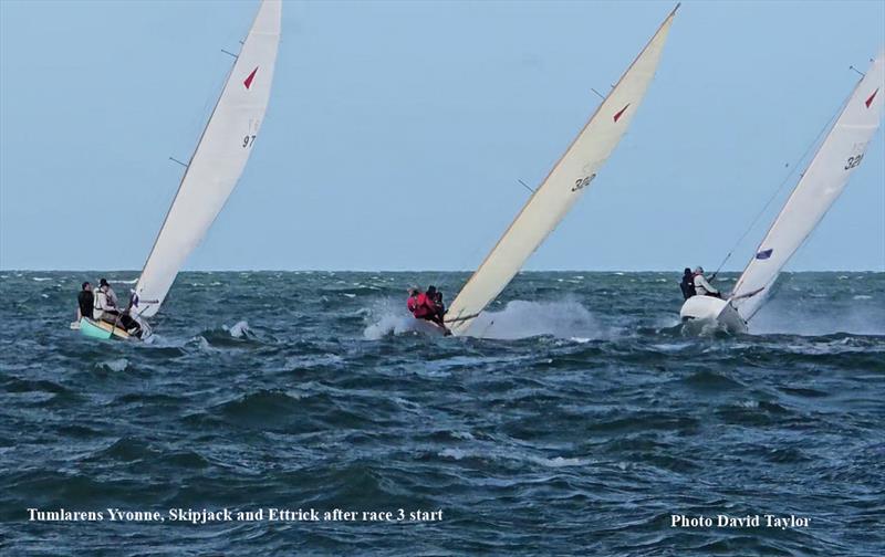 Tumlarens after Race 3 start - 2025 Tumlaren Victorian State Titles - photo © Dave Taylor