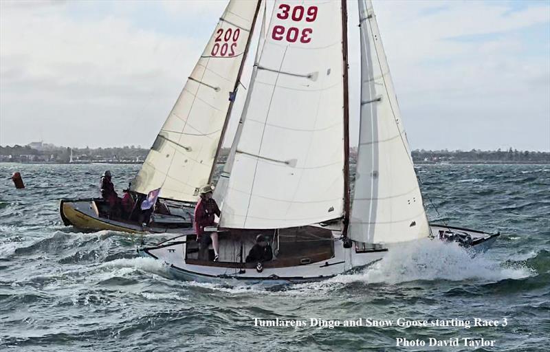 Tums starting Race - 2025 Tumlaren Victorian State Titles photo copyright Dave Taylor taken at Royal Melbourne Yacht Squadron and featuring the Tumlaren class