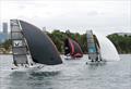 88th 12ft Skiff Australian Championship © Geraldine Wilkes