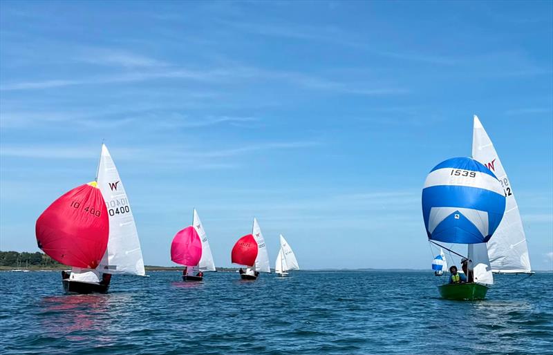 Alan Bell and Paul Matthews - Wayfarer week with Two Bouys Challenge at East Down - photo © EDYC