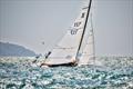 Taittinger Royal Solent YC Regatta &copy; Tim Jeffreys Photography