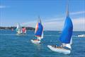 Taittinger Royal Solent YC Regatta &copy; Marina Johnson