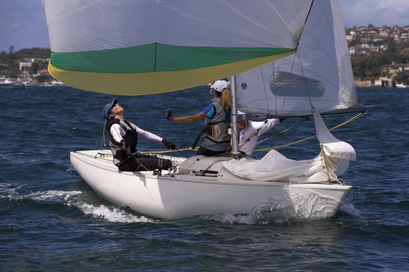 Yngling at the Sydney Harbour Regatta 2015 - photo © Andrea Francolini / MHYC