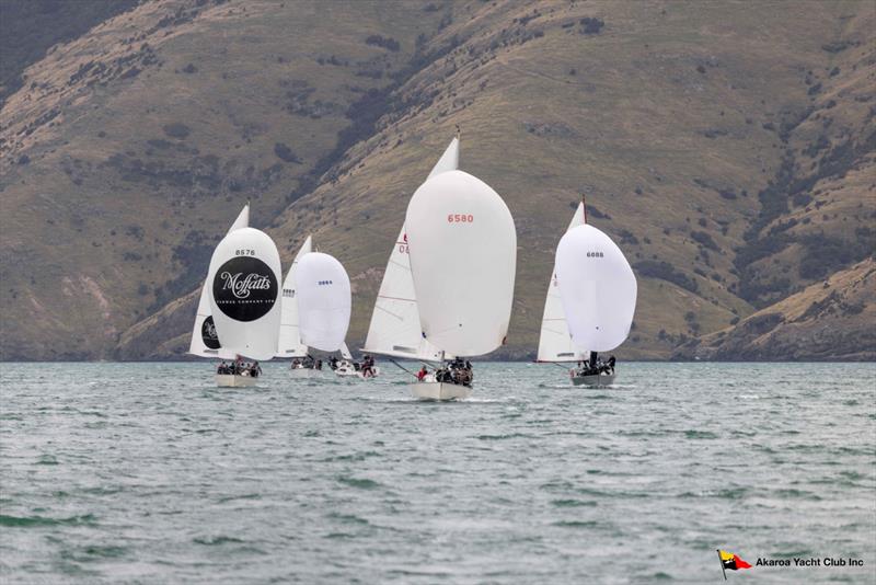 North Sails Southern Young 88 Nationals - Akaroa Harbour, New Zealand - photo © Alister Winter