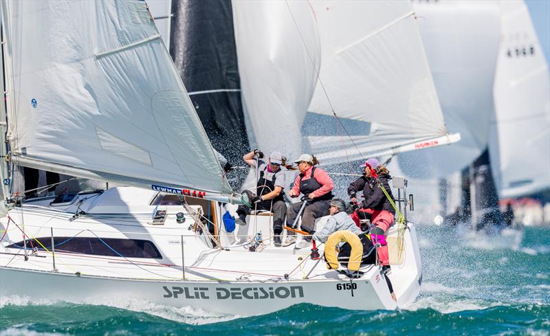 Split Decision - 2024 Young 88 Nationals - Bucklands Beach - March 16-17, 2024 - photo © Adam Mustill